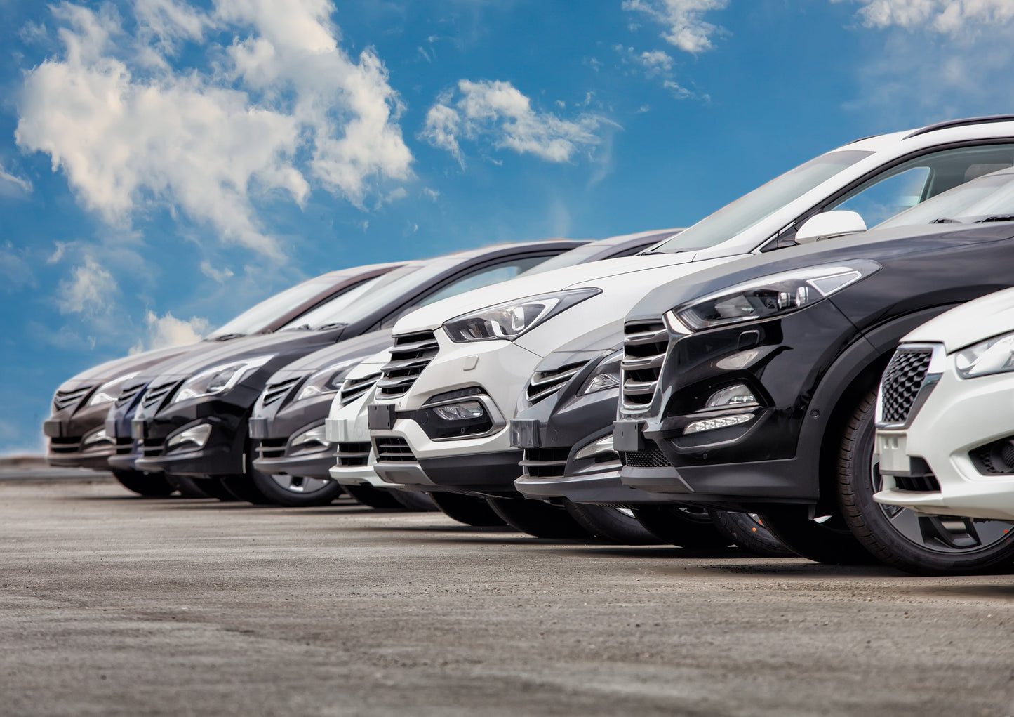 Standard Vehicle Inspection - Dealership