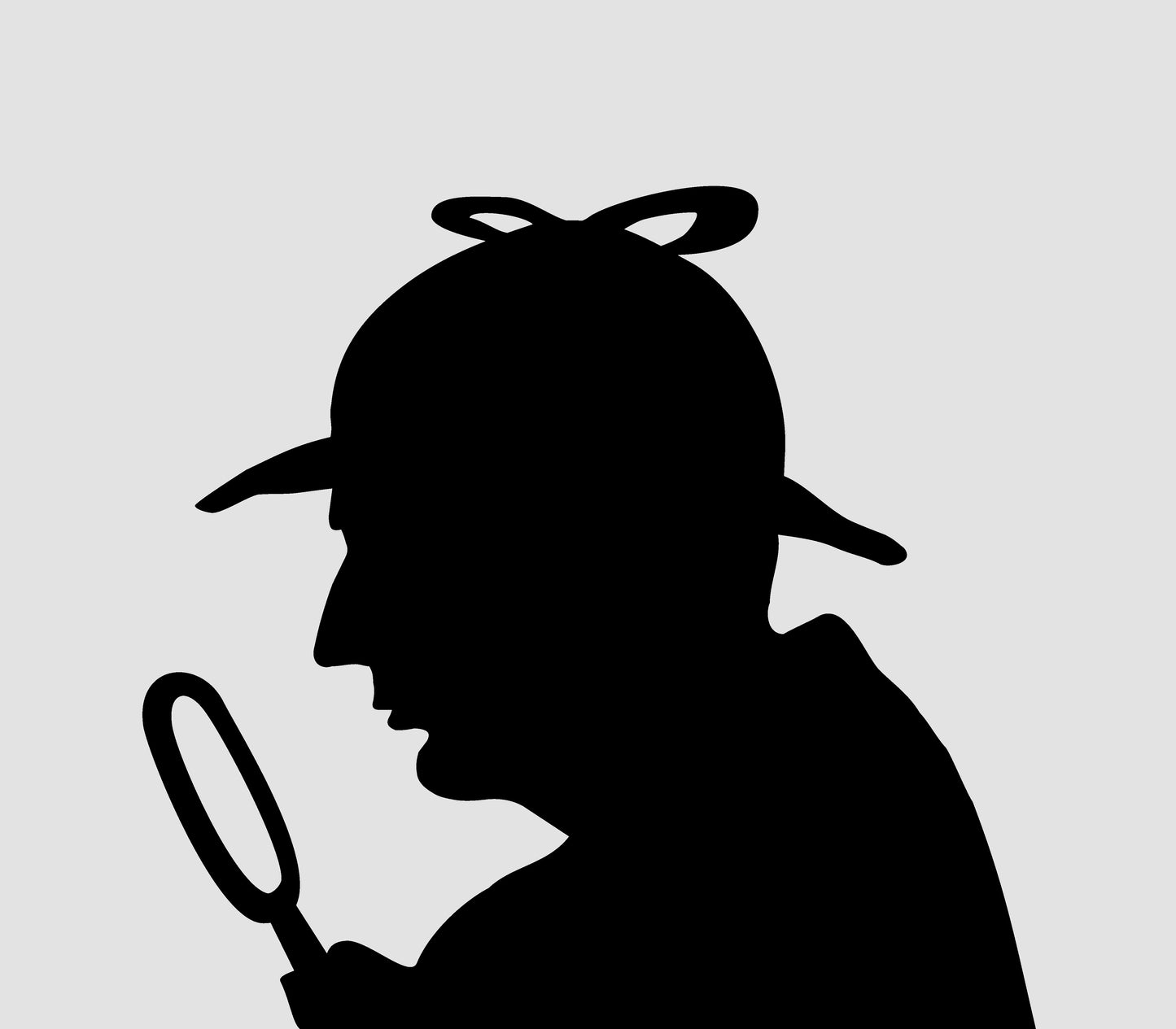 Undercover Inspection - Residence Only